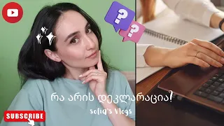 როგორ შევავსოთ დეკლარაცია? რა არის დეკლარაცია? (Sofia's Vlogs)  ნაწილი 3