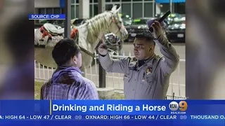 Man Accused Of Riding Horse On California Freeway Arrested For DUI