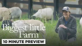 The Biggest Little Farm | 10 Minute Preview | Own it now on Blu-ray, DVD & Digital