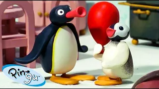 Pingu and Pinga🐧 | Pingu - Official Channel | Cartoons For Kids