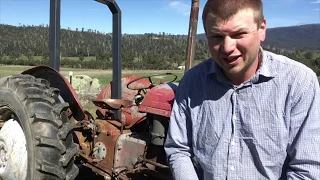 1950 Ferguson TEA 20 General Update - Talking About Operating, Owning and Maintaining A Old Tractor