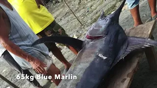 Giant Blue Marlin - Catch of the Day "Huli ni Tatay"