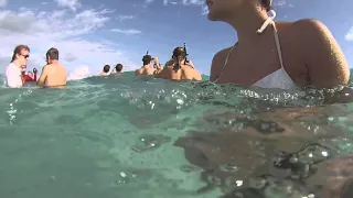 GoPRO of Stingray City in Grand Cayman  (1 of 2)