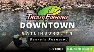 Downtown Gatlinburg Trout Fishing: Secrets Revealed