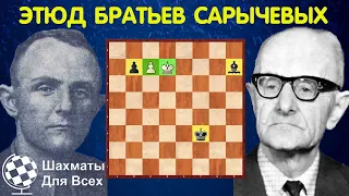 Шахматы. ЗНАМЕНИТЫЙ ЭТЮД братьев Сарычевых!