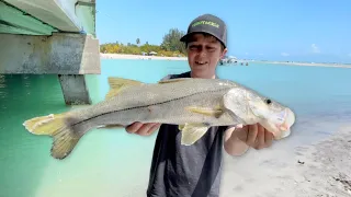 Shore Fishing in Fort Myers Florida!