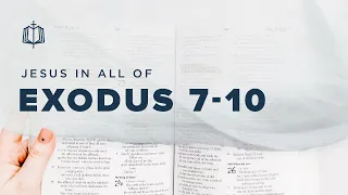 Exodus 7-10 | The Plagues | Bible Study