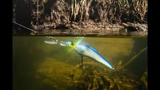 Schleppfischen: Mit dem Wobbler auf Zander