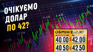 Час купувати долари?💲Економіст пояснив, яким буде курс гривні у 2024 році 📈