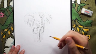 Как нарисовать слона карандашом за 19 минут - Хочу Рисовать!