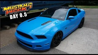 IT'S TIME FOR MUSTANG WEEK 2019!