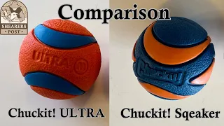 Comparison Chuckit Ultra to chuckit Ultra squeaker Dog Play Ball