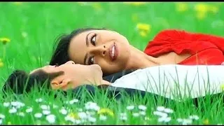 Sathi Mere Sun To Zara ((Jhankar)) Kumar Sanu Alka Yagnik Mr. Bechara (1996) - Full Mp3 Song