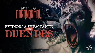 EVIDENCIA IMPACTANTE SOBRE DUENDES