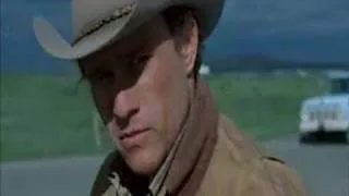 The Rose-Brokeback Mountain