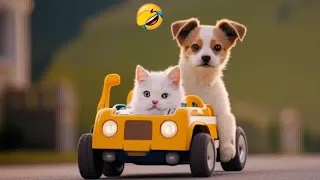 🐕🐕 Funniest Cats and Dogs Videos 🐱🐕 Funniest Animals 2024 #10