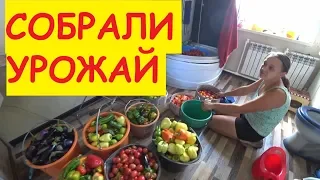 ПОДАРОК ОТ СОСЕДА / Деревенские будни / Собрали урожай / Привезли сено / Семья в деревне