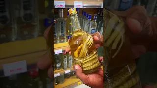 Vietnamese Snake Wine 🇻🇳😱 Would You Try It? #vietnam #vietnamesefood