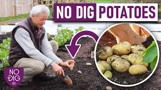 Dig-Free Potato Gardening: Expert Tips from Charles Dowding