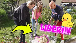 LIBERIAMO le PAPERE nel GIARDINO!!  😍  😭