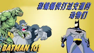 和蝙蝠侠打过交道的动物们 | Batman 101 中文版  | DC Kids
