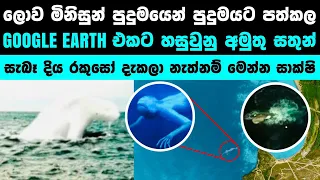 GOOGLE EARTH හි හසුවුනු භයාණක සතුන් | Terrifying Animals caught on Google Earth 🌎😳