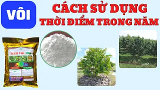 Tổng hợp thông tin về cách sử dụng vôi, thời điểm sử dụng trong năm và bón vôi theo pH