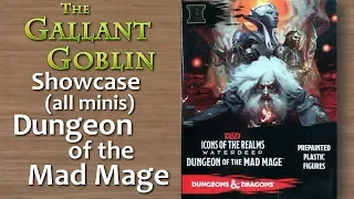 Dungeon of the Mad Mage - D&D Miniatures Icons of the Realms