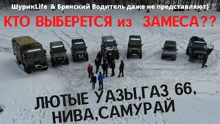 Уаз на 36 колёсах против ГАЗ 66, НИВЫ И СУЗУКИ САМУРАЙ ДЖИМНИ #OFFROAD #УАЗ #ОФРОАД #НИВА #ГАЗ66