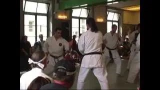 Power of Shukokai-Karate