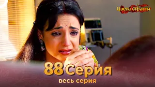 Цвета Страсти Индийский сериал 88 Серия | Русский Дубляж