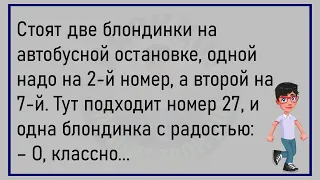 💎У Барной Стойки Сидит Девушка...Большой Сборник Весёлых Анекдотов,Для Хорошего Настроения!