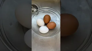 How to test if eggs are fresh