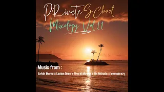 Private School Mixology Vol.11 - 4hrs , Kelvin Momo x Loxion Deep x Leemckrazy x Fiso el Musica