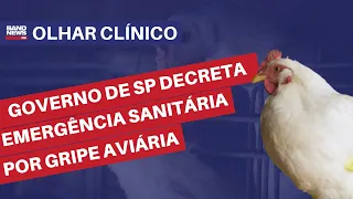 Governo de SP decreta emergência sanitária por gripe aviária l Álvaro Furtado