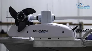 I Bought A Watersnake Electric motor