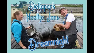 Dreamnight at the zoo !