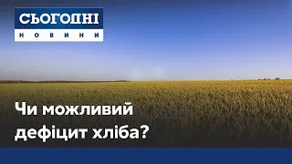 Украина обезвоженная: возможен ли дефицит хлеба и что фермеры будут выращивать меньше?