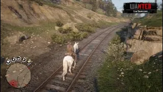 Red Dead Redemption 2 Arthur and Buell messing around in Valentine