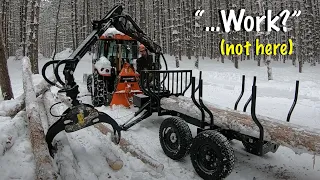 Forestry Work Doesn't Get Much More Fun | Wallenstein LXT95 Log Loader Trailer Back in Action