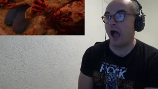 New!!! Cannibal Corpse - Chaos Horrific Reaction