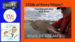 "210lb" haul of Ferry bream!!