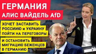 Германия Алис Вайдель хочет заставить Украину и Россию пойти на переговоры AfD Alice Weidel.