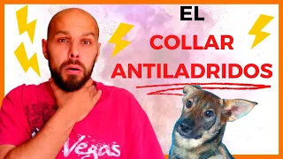 MITO #3 - COLLAR ANTILADRIDOS para PERRO cuando SE QUEDA SOLO EN CASA ⚡ ANSIEDAD por SEPARACIÓN ❌