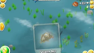 Hay Day - Learn to Catch Speckled Dace