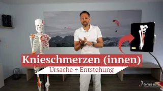 Knieschmerzen (Innen) - Die wahre Ursache