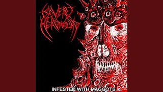 Infested with Maggots