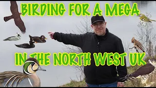 BIRDING FOR A MEGA RARE BIRD IN THE NORTH WEST UK.