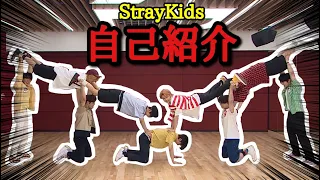 Stray Kids スキズの自己紹介(💁)笑いたっぷり！これでメンバーを覚えよう！！【日本語字幕】