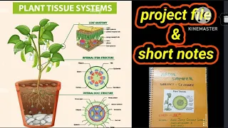 #Plant tissue class9।parenchyma tissue।ground tissue।tissue definition।SCIENCE PROJECT FILE